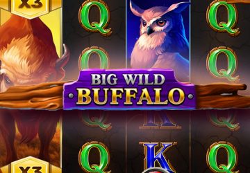 Игра Big Wild Buffalo в Rubin Casino